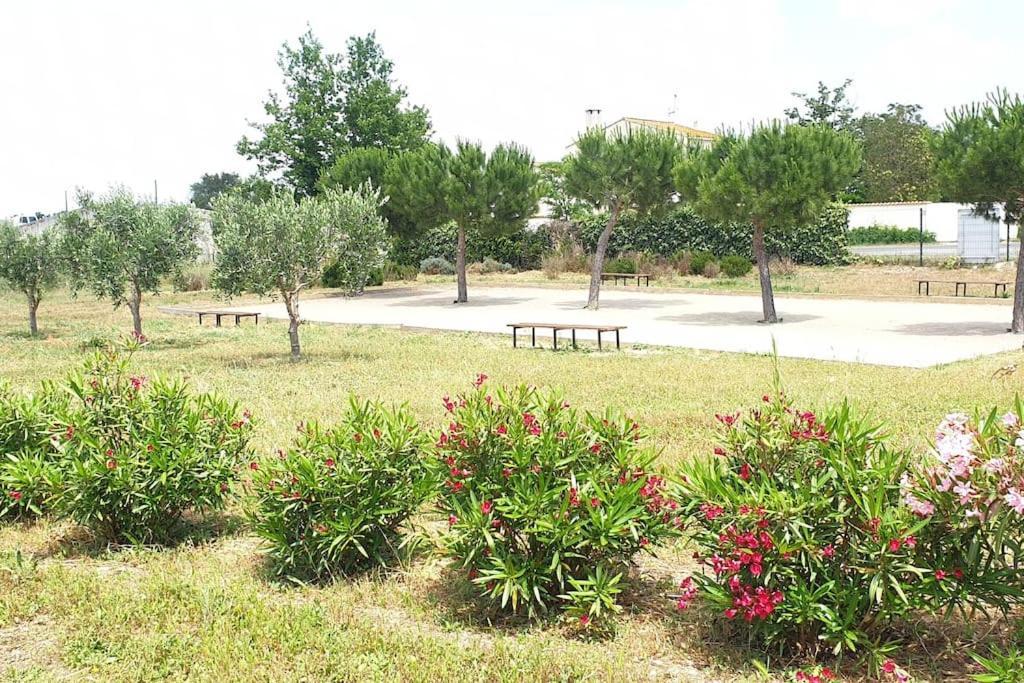 Un Bol D'Air Frais Et De Soleil Entre Campagne Et Plage Villa Béziers Exterior foto